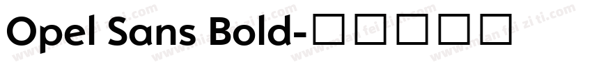 Opel Sans Bold字体转换